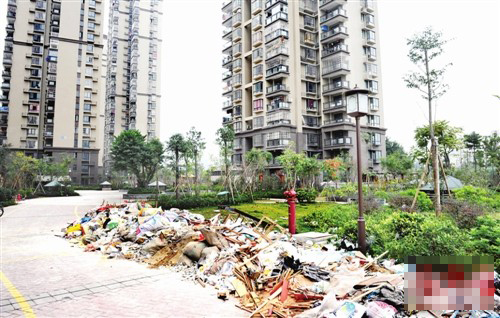 Img361104113 Img361104113