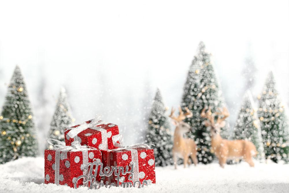 【施邦】誕愿有你一路相伴！